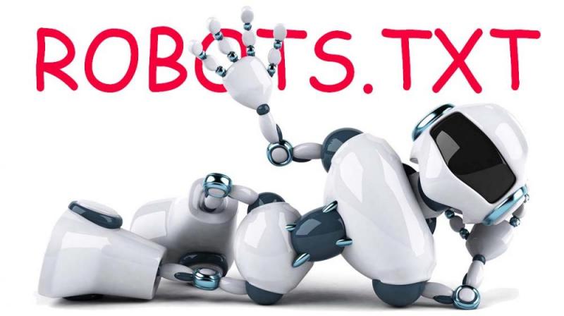 Что такое robots.txt и зачем он нужен в Мурманске